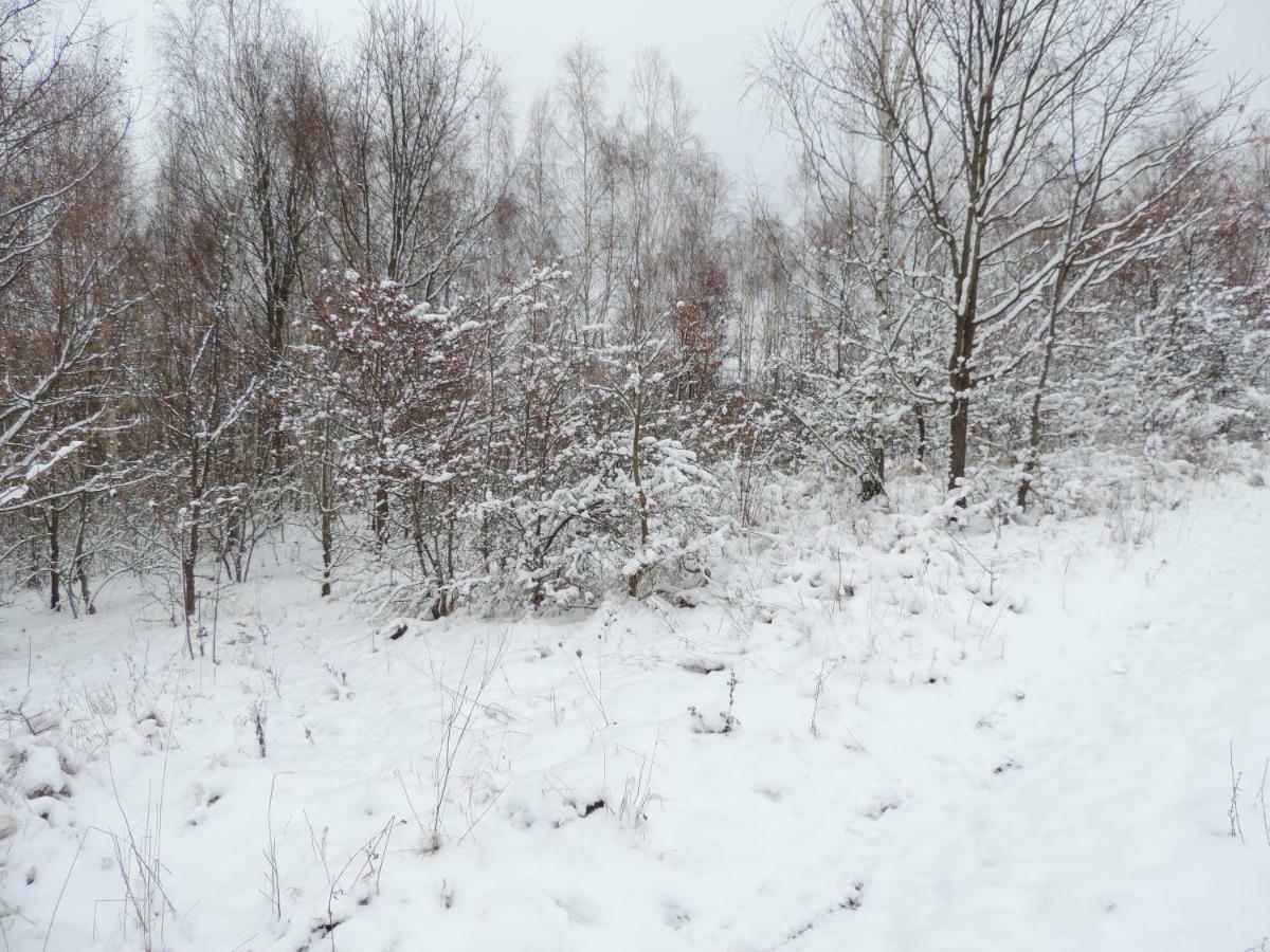 Pod Miotelka Wlen Eksteriør bilde